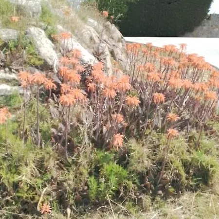 El Refugi Platja D'aro 4 * Romanyà de la Selva