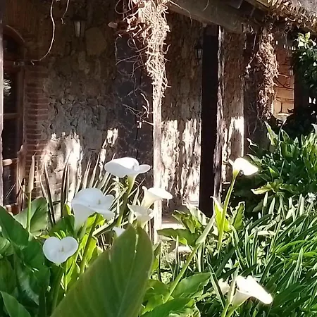 El Refugi Platja D'aro 4 Nyaraló Romanyá de la Selva