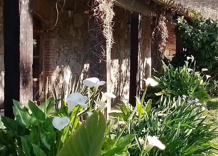 El Refugi Platja D'aro 4 度假居 Romanyá de la Selva